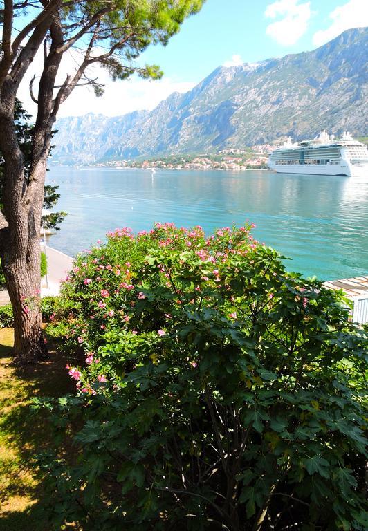 Ribica Apartments Kotor Bagian luar foto