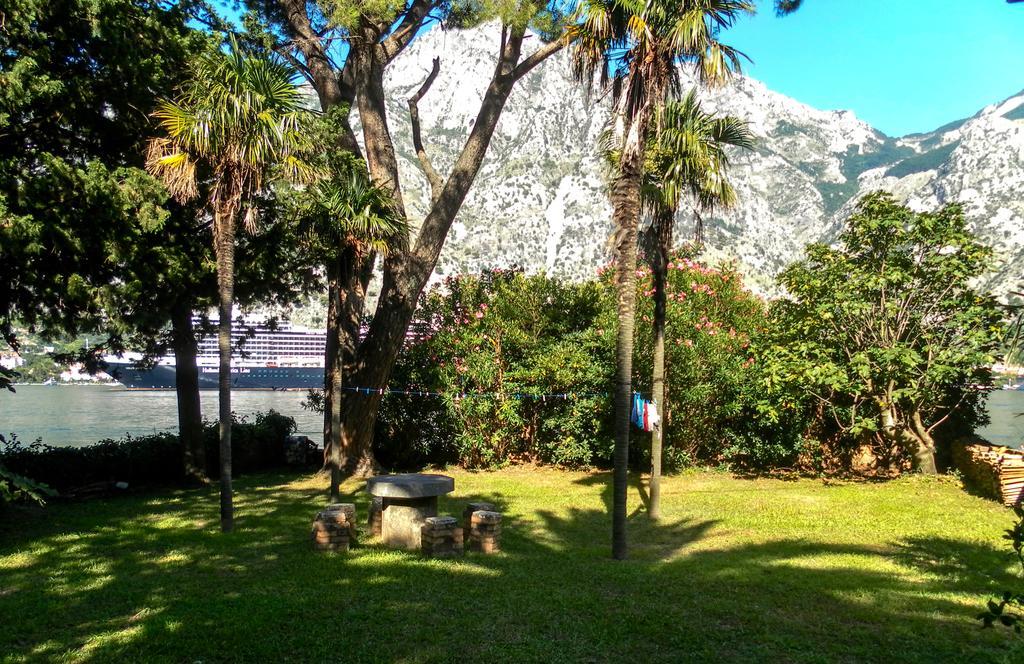 Ribica Apartments Kotor Bagian luar foto